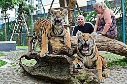 Tiger Park