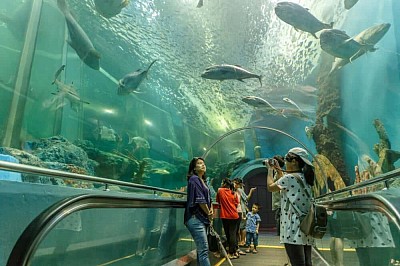 สถานแสดงพันธุ์สัตว์ระยอง